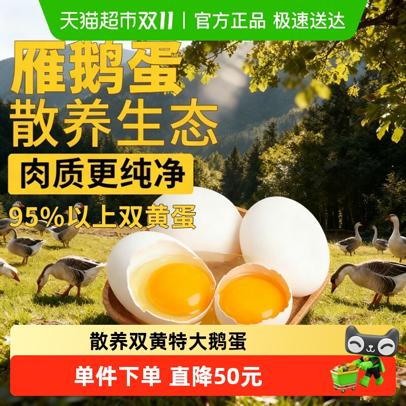 乡府农家散养特大雁鹅蛋