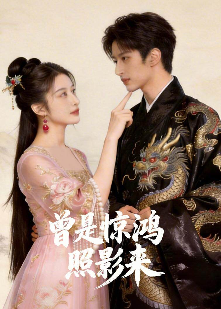 曾是惊鸿照影来