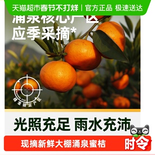 【臻选】临海涌泉蜜桔大棚晚熟柑橘新鲜水果黄岩蜜桔子当季整箱