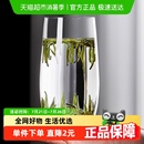 青苹果玻璃水杯水晶玻璃泡茶杯525ml茶水杯高透