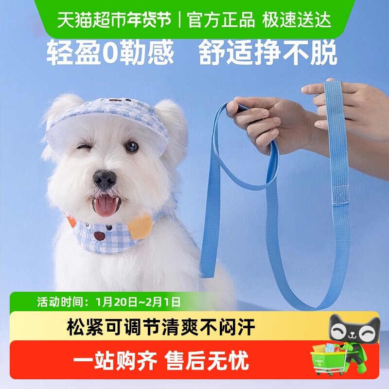 狗狗牵引绳胸背萌趣套装小狗遛狗外出牵引绳宠物狗中小型犬防爆冲,宠物/宠物食品及用品,狗牵引绳,淘宝优惠券,粉丝福利购,淘宝优惠卷
