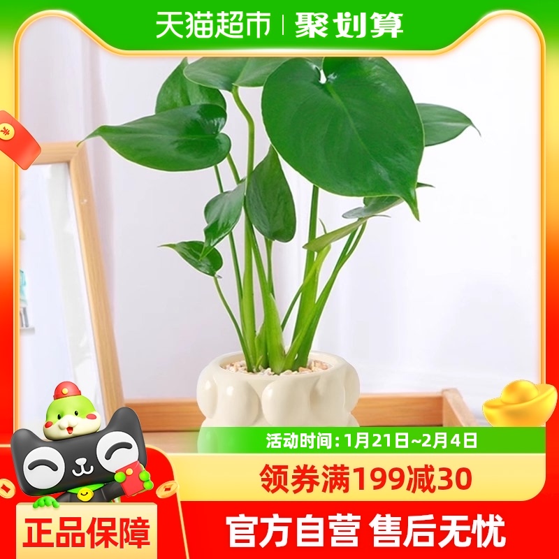 걳칫С澻ˮСֲڿڼ75.05Ԫ5(15.01Ԫ/88VIP 95)