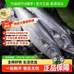 【当季新货】大鲅鱼整条鲐鲅鱼马鲛鱼青花鱼马友鱼马交鱼深海捕捞