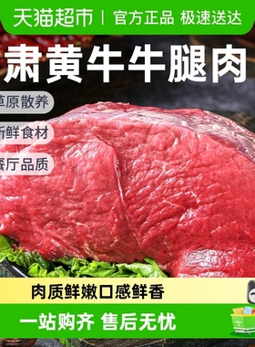 祁连天宝甘肃黄牛牛腿肉散养黄牛肉原切冷冻生牛肉健身火锅食材