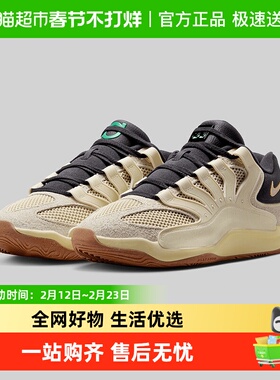 NIKE耐克男鞋KD18 LE EP杜兰特实战运动训练缓震篮球鞋II3841-100
