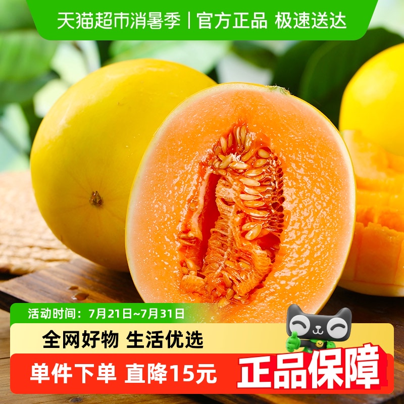甘肃黄金沙漠蜜瓜新鲜水果包邮