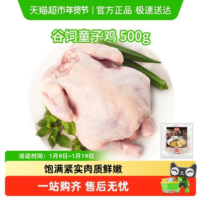 泰森冷冻新鲜食材鸡肉