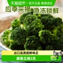 浦之灵冷冻蔬菜阳光西兰花500g健康代餐轻食沙拉 5件起拍
