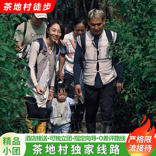 基诺山茶地村探跃雨林徒步【酒店接送+严格限流不排队+指定向导】