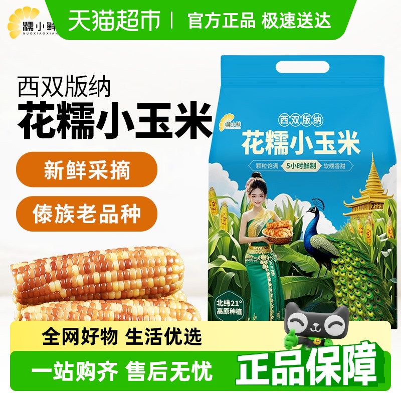七彩大滇源糯小鲜云南西双版纳花糯小玉米