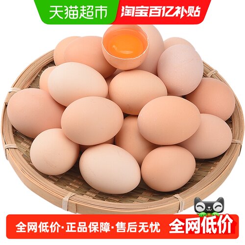 晨诚新鲜鸡蛋50枚