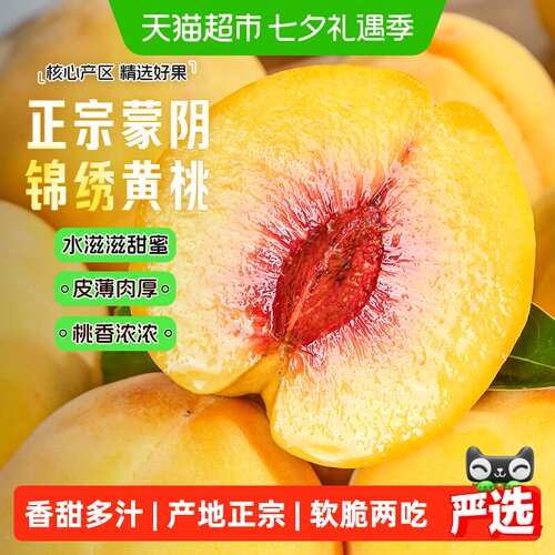 农鲜淘蒙阴锦绣黄桃应季鲜蜜桃