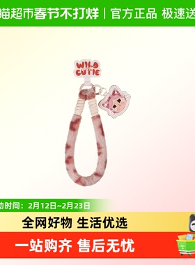 POPMART泡泡玛特CRYBABY豹豹猫猫系列手机挂绳盲盒