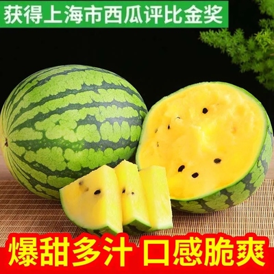 冰淇淋黄瓤西瓜富硒特小凤西瓜新鲜脆甜黄心皮薄多汁当季水果