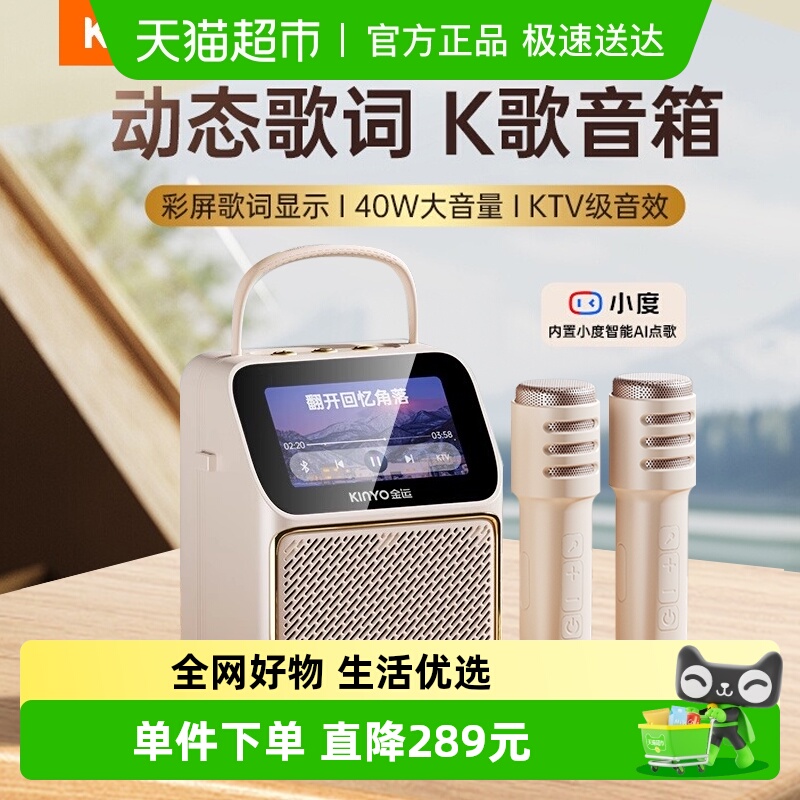 金运无线蓝牙歌词音响K800