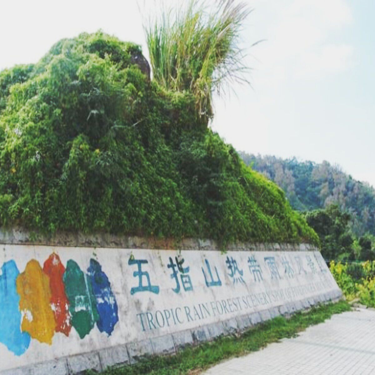 [五指山水满河热带雨林风景区-门票+游览车]五指山水满河热带雨林风景区海南五指山热带雨林门票