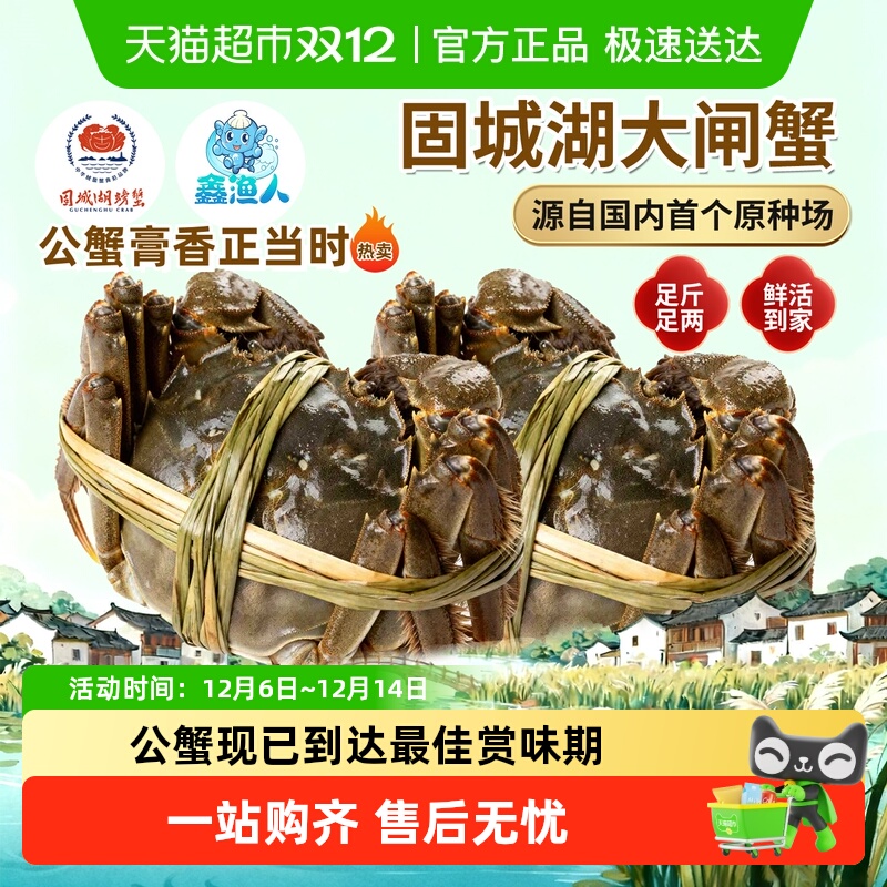 鑫渔人大闸蟹全母蟹精品蟹礼盒装