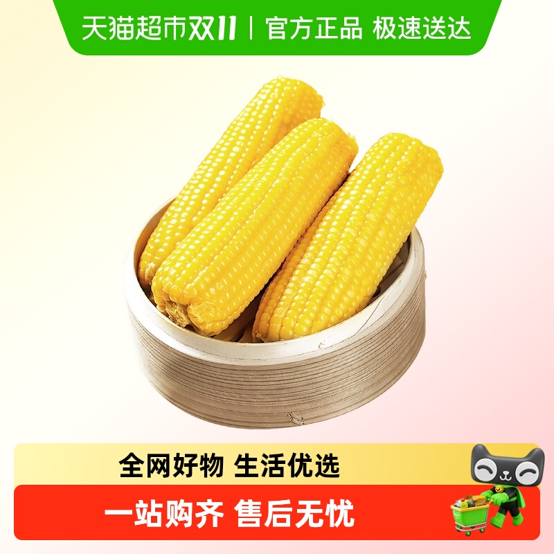七稻町东北黄糯玉米新鲜香甜玉米棒甜糯玉米大棒代餐低脂整支 七稻町东北黄糯玉米新鲜香甜玉米棒甜糯玉米大棒代餐低脂整支