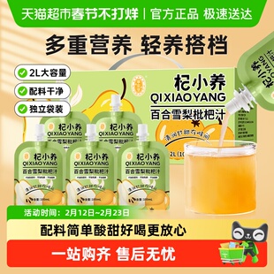 宁安堡杞小养百合雪梨枇杷汁果汁多重营养健康果汁饮料水果饮品