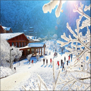 [金佛山滑雪场-大门票（西门）+滑雪场套票]金佛山滑雪场 大门票（西门）+滑雪场套票