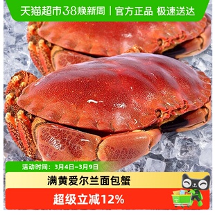 面包蟹超大母帝王蟹鲜活熟冻大螃蟹新鲜海蟹海鲜水产黄金蟹珍宝蟹