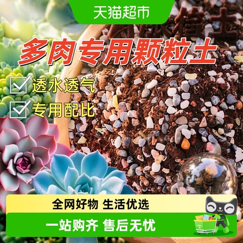 德沃多肉土透气优良排水顺畅