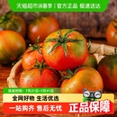 详情页补贴折上折 丹东草莓柿子西红柿新鲜自然熟铁皮柿子盘锦