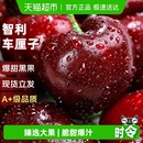 智利进口车厘子新鲜水果礼盒应当季 大樱桃345J整箱现货立发孕妇斤