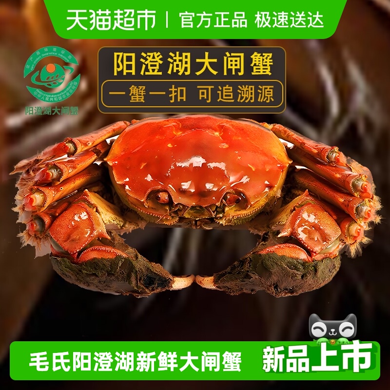 зë κзʻբзĸװʺз