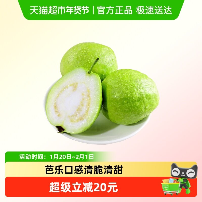 新鲜现摘软脆两吃软糯白心奶油芭乐低糖水果番石榴,水产肉类/新鲜蔬果/熟食,番石榴/芭乐,淘宝优惠券,粉丝福利购,淘宝优惠卷