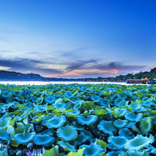 东西栅 乌镇 可选西塘 杭州西湖3天2晚跟团游 苏州拙政园