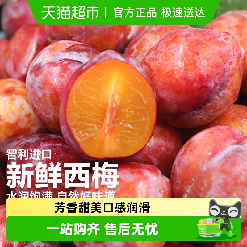 【38爆品收官日】智利进口西梅新鲜水果当季大果脆甜多汁孕妇水果