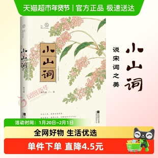 小山词 中国现当代诗歌 说宋词之美 中国古代诗词文学新华书店