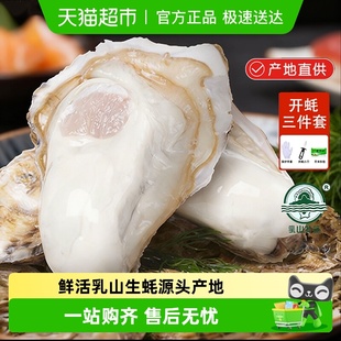 乳山牡蛎乳山生蚝3XL威海 海鲜鲜活大号海蛎子餐饮烧烤源头产地