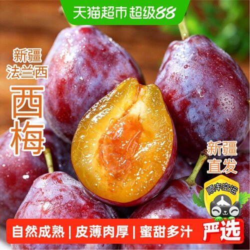 新疆法兰西西梅李子应季采摘水果