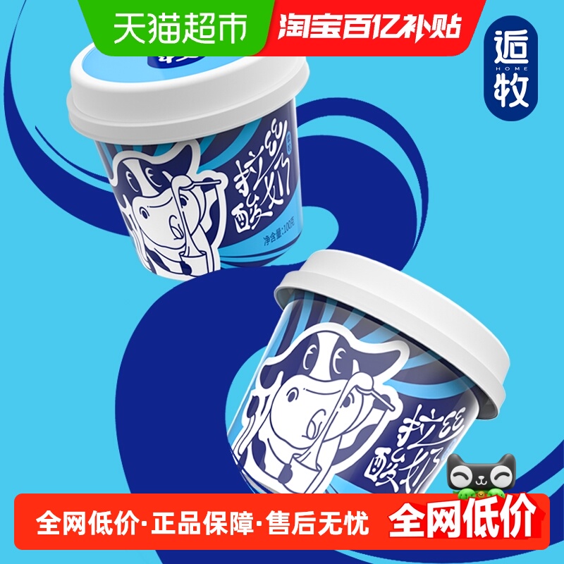 乍甸云南拉丝酸奶100g×8杯