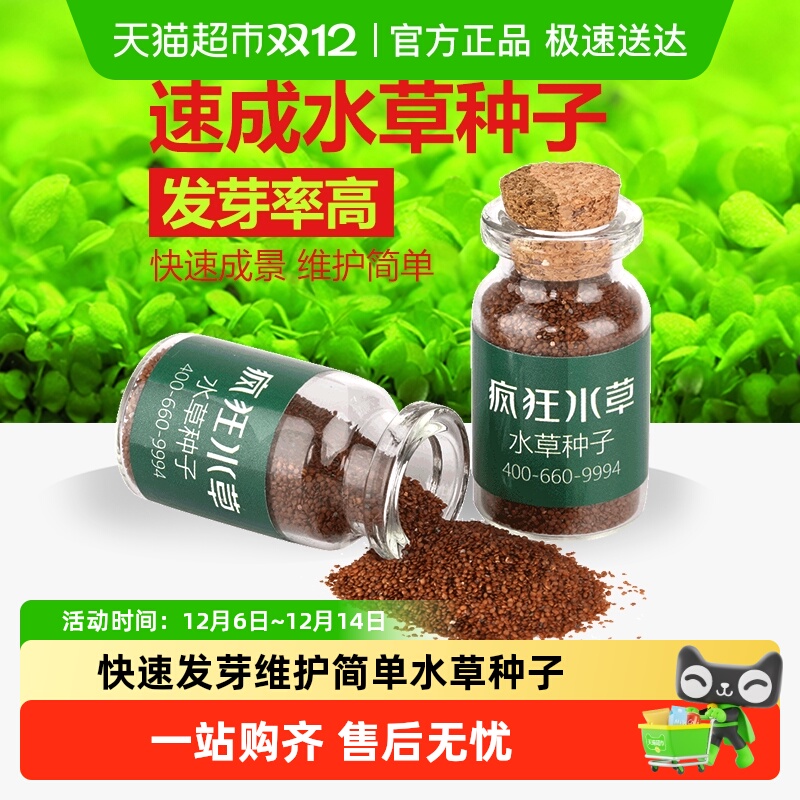 疯狂水草鱼缸造景活植物草种子