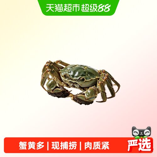 椒乡徽印鲜活大闸蟹