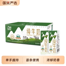 6月辉山200ml整箱全脂纯牛奶学生营养早餐生牛乳原生蛋白质国货