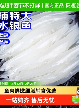 青岛大银鱼新鲜冷冻面条鱼白饭鱼宝宝银鱼