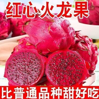 金都一号当季水果新鲜火龙果红心整箱大果应季超甜红肉蜜宝批发价