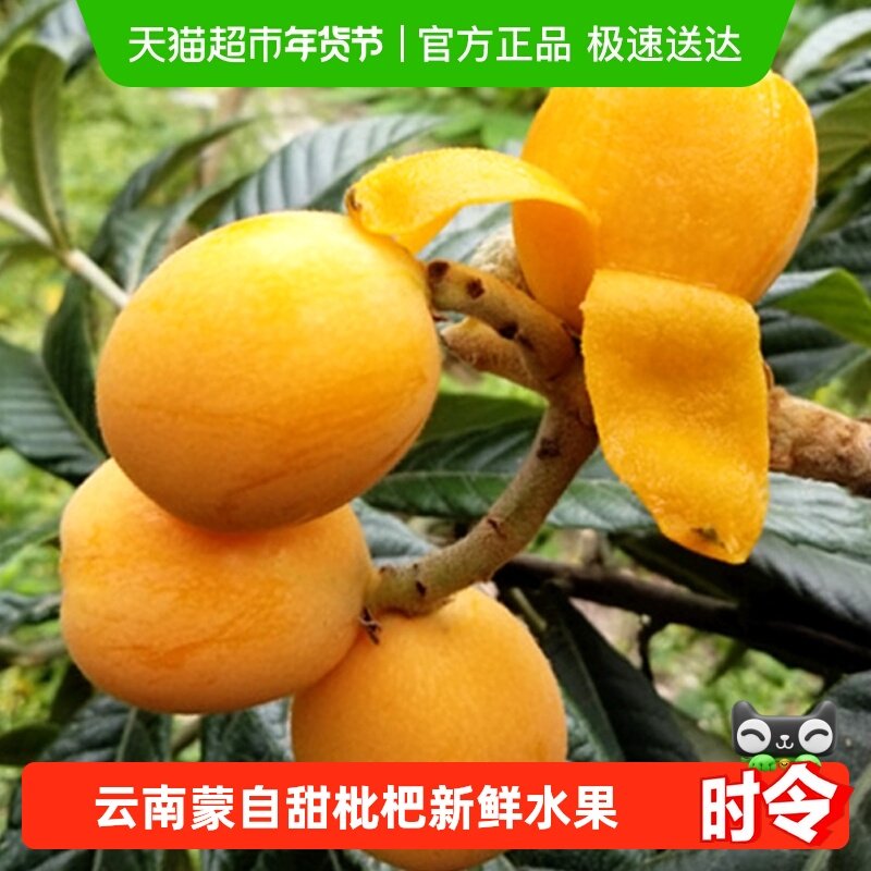 云南蒙自甜枇杷新鲜水果当季大果高山现摘整箱琵琶水果,水产肉类/新鲜蔬果/熟食,枇杷,淘宝优惠券,粉丝福利购,淘宝优惠卷