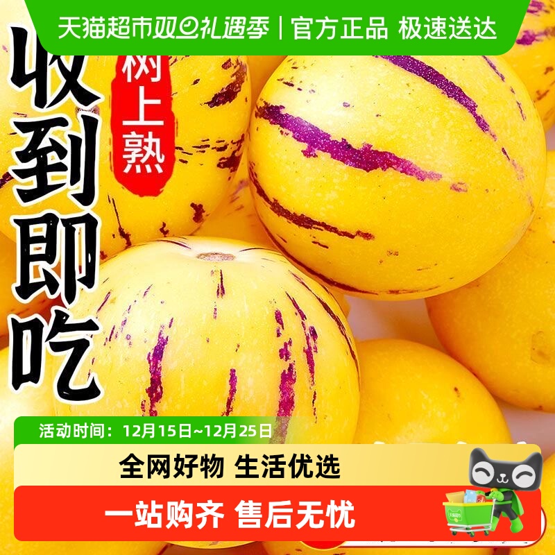 【顺丰】云南石林人参果新鲜水果圆果树上熟黄皮特大果人生果特产