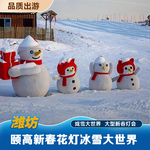 [颐高新春花灯冰雪大世界-大门票（无限次入园）]全季通用不限次数亲子1大1小票