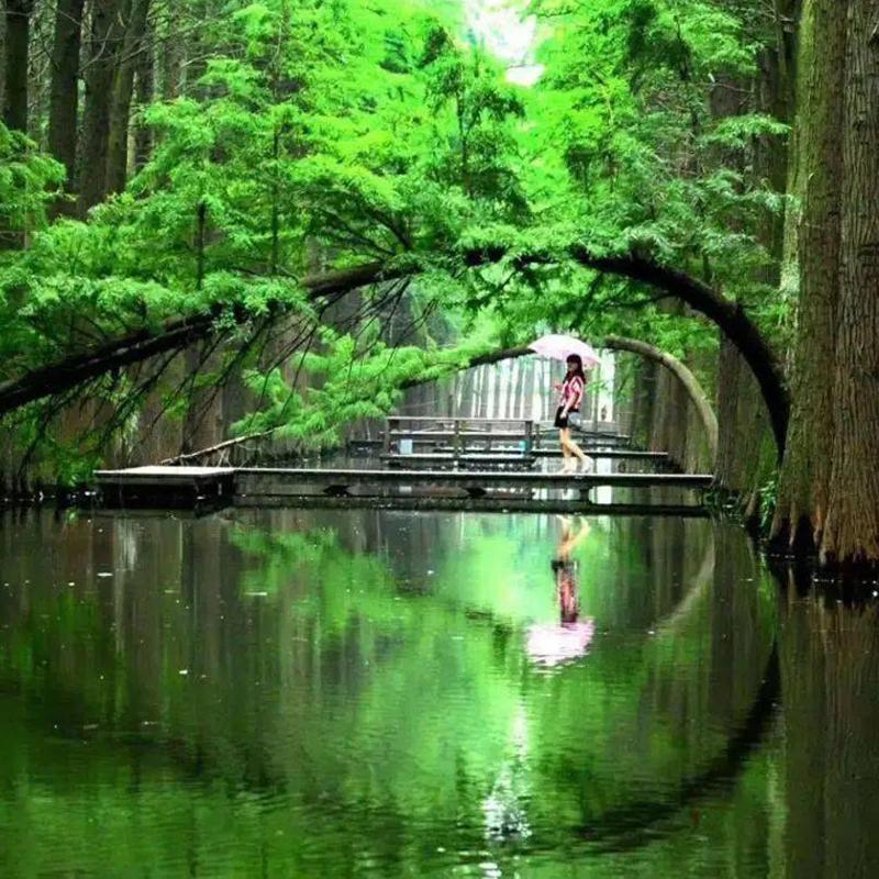 溱湖湿地水上公园