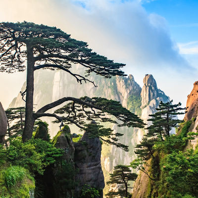 16人小团安徽黄山景区西递宏村篁岭3天2晚跟团纯玩旅游 赠登山3宝