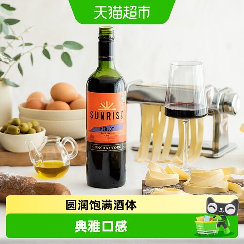智利原装进口干露酒庄旭日梅洛/美乐干红红酒葡萄酒 - 封面