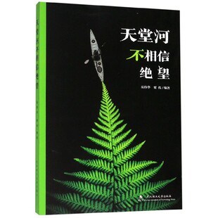 天堂河不相信绝望 岳伟华，贾俊 著 武汉理工大学出版社 新华书店正版