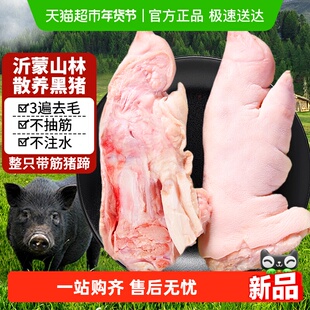 云储生活黑猪猪蹄生鲜猪脚带筋整只蹄子前蹄新鲜现杀沂蒙散养猪手