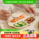 竹木本记分格餐盘陶瓷早餐盘儿童餐具减脂分隔盘子双耳防烫1个装